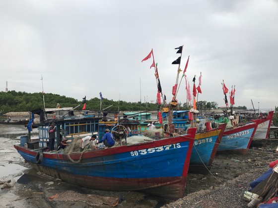 TPHCM khẩn trương phòng chống cơn bão số 9 ảnh 13