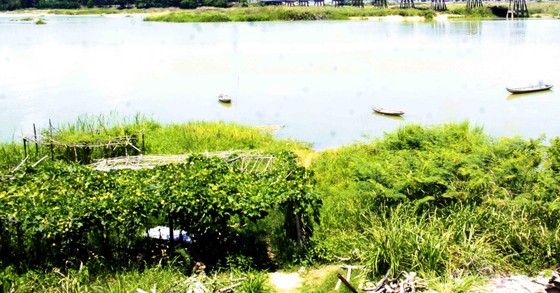 Hội Nghề cá Quảng Ngãi lo lắng nguồn lợi thủy sản, sinh kế dự án Đập dâng hạ lưu sông Trà Khúc ảnh 3