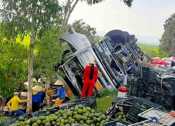 Người dân thu gom trái cây giúp tài xế khi xe tải bị lật ở quốc lộ ảnh 2