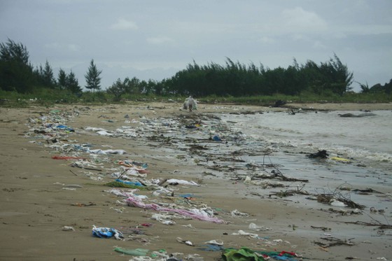 Củi, rác thải phủ khắp hạ lưu sông Trà Bồng sau bão số 5 ảnh 2