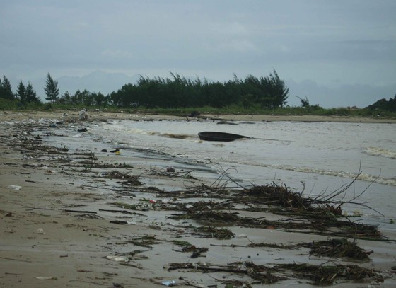 Củi, rác thải phủ khắp hạ lưu sông Trà Bồng sau bão số 5 ảnh 1