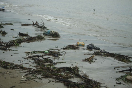 Củi, rác thải phủ khắp hạ lưu sông Trà Bồng sau bão số 5 ảnh 3