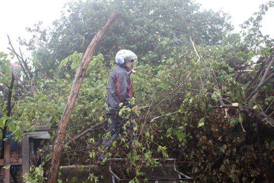 Quảng Ngãi: Đảm bảo an toàn cho người dân trước cơn bão số 6 ảnh 5