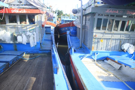 Tàu cá bị mắc kẹt giữa âu thuyền ở Quảng Ngãi ảnh 2