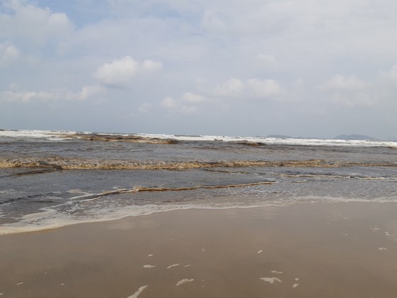 Nước biển ở Quảng Ngãi chuyển màu nâu đen, nổi bọt ảnh 3