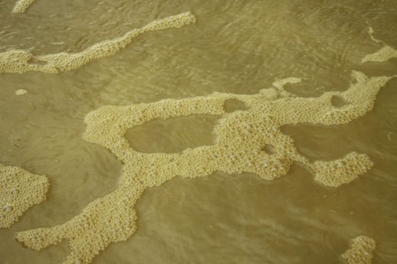 Quảng Ngãi: Nước biển vàng nâu, nổi bọt màu lan rộng đến làng biển Hải Ninh ảnh 8