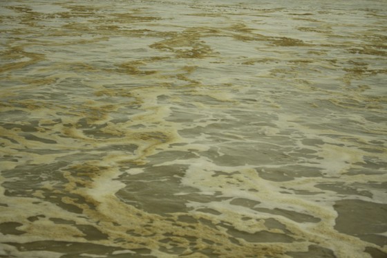 Quảng Ngãi: Nước biển vàng nâu, nổi bọt màu lan rộng đến làng biển Hải Ninh ảnh 9