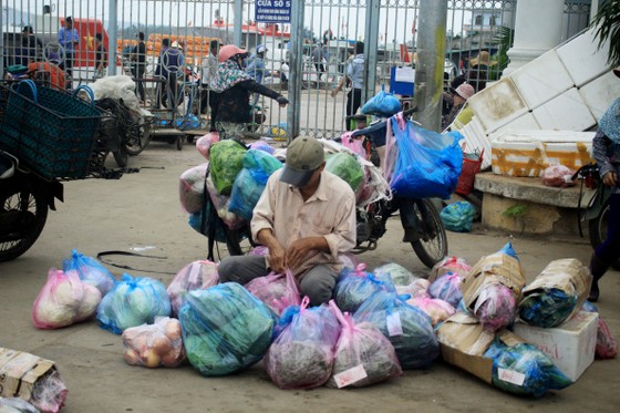 Những chuyến tàu 'chở tết' ra đảo Lý Sơn ảnh 9