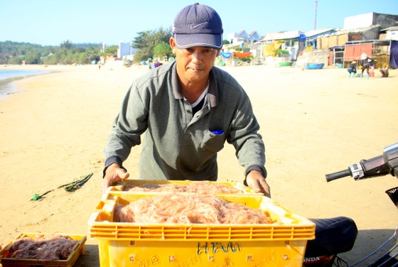 Ngư dân Quảng Ngãi trúng đậm mùa ruốc biển ảnh 9