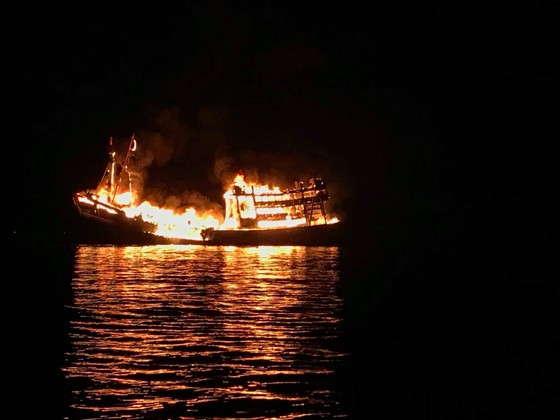 Tàu cá bốc cháy, thiệt hại hơn 2 tỷ đồng ảnh 1