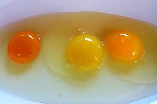 Xử phạt nhân viên y tế vì đăng tin uống trứng gà chống dịch Covid-19 ảnh 1