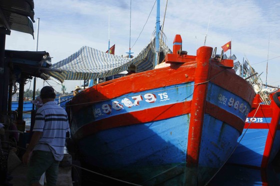 Quảng Ngãi: Hơn 1.100 tàu cá dài từ 15m được cấp giấy chứng nhận đủ điều kiện an toàn vệ sinh thực phẩm ảnh 1