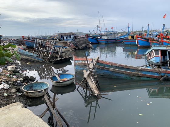 Giải pháp xử lý ô nhiễm môi trường từ xác tàu ở cảng cá Sa Huỳnh  ảnh 1
