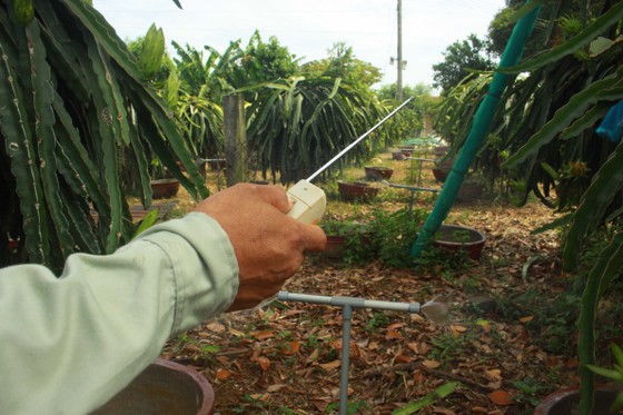 Nông dân Quảng Ngãi cải tiến thành công bộ tưới nước tự động 3 trong 1 ảnh 1