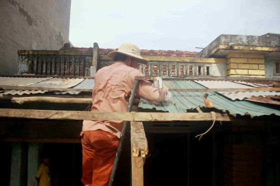 Quảng Ngãi: 9 người bị thương, hàng chục hecta đất canh tác bị thiệt hại sau bão số 6 ảnh 1