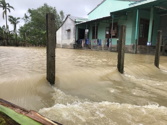 Quảng Nam sơ tán dân, tạm dừng tìm người mất tích, Quảng Ngãi nhiều nơi ngập lụt ảnh 4