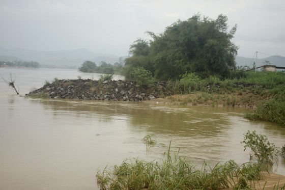 Quảng Ngãi: Sạt lở bờ sông Trà Khúc, đe dọa cuộc sống người dân ảnh 4