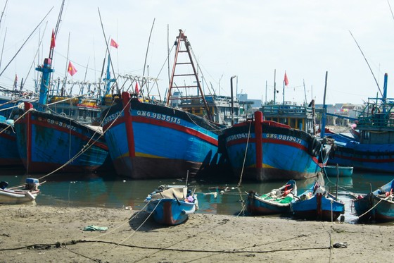 Quảng Ngãi: Hàng trăm tàu cá không thể ra khơi vì luồng lạch bị bồi lấp ảnh 2