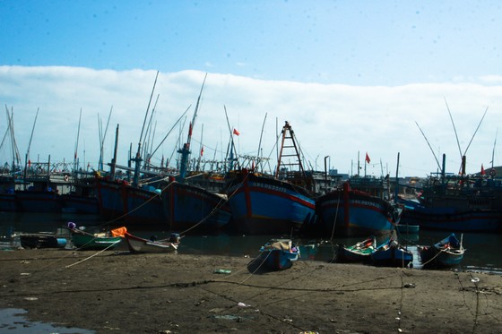 Quảng Ngãi: Hàng trăm tàu cá không thể ra khơi vì luồng lạch bị bồi lấp ảnh 1