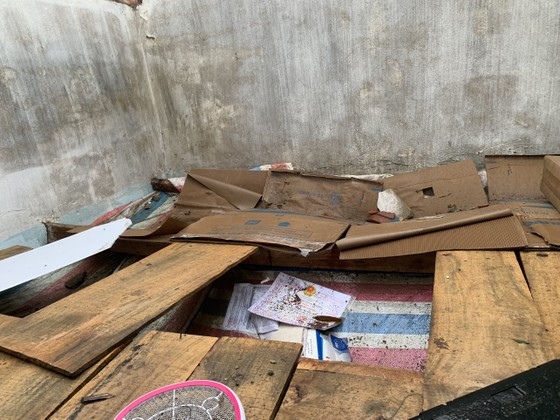 Quảng Ngãi: Lốc xoáy làm nhà dân ven biển bị tốc mái, ngã đổ cây ảnh 3