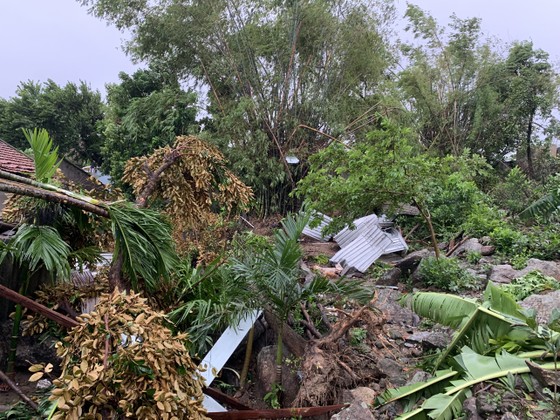 Quảng Ngãi: Lốc xoáy làm nhà dân ven biển bị tốc mái, ngã đổ cây ảnh 5