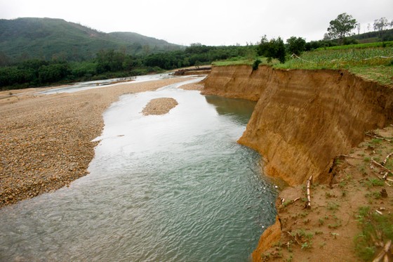 Quảng Ngãi: Sạt lở nghiêm trọng bờ sông Trà Bồng ảnh 1
