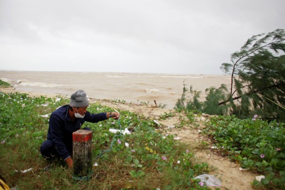 Quảng Ngãi: Người dân nỗ lực gia cố bờ biển đang bị xâm thực nghiêm trọng ảnh 11