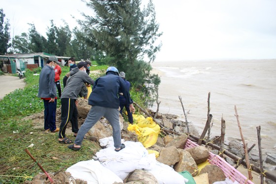 Quảng Ngãi: Người dân nỗ lực gia cố bờ biển đang bị xâm thực nghiêm trọng ảnh 10