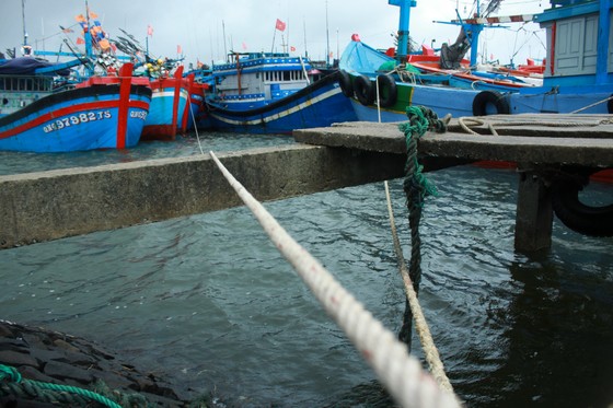 Ứng phó bão RAI: Quảng Ngãi kêu gọi tàu thuyền trú tránh an toàn trước 10 giờ ngày 18-12 ảnh 1