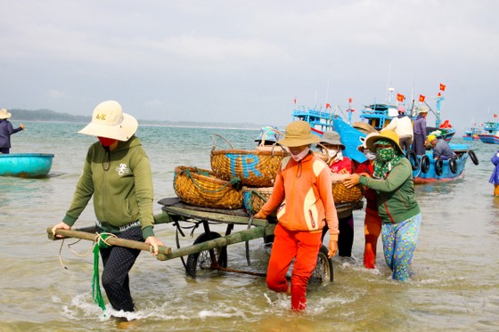 Ngư dân Quảng Ngãi trúng đậm mùa ruốc cuối năm ảnh 10