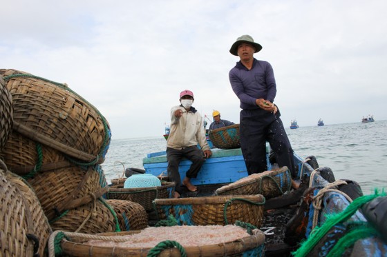 Ngư dân Quảng Ngãi trúng đậm mùa ruốc cuối năm ảnh 3