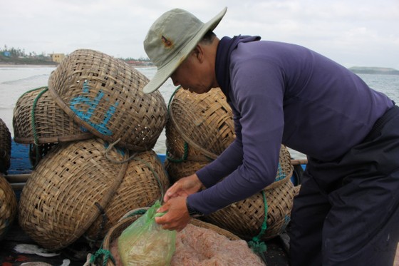 Ngư dân Quảng Ngãi trúng đậm mùa ruốc cuối năm ảnh 6