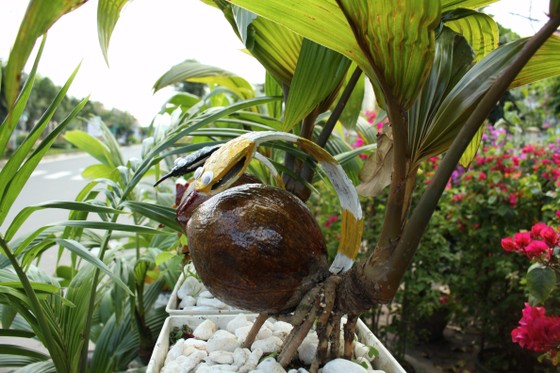 Dừa bonsai tết hình con giáp độc đáo ở Quảng Ngãi ảnh 5