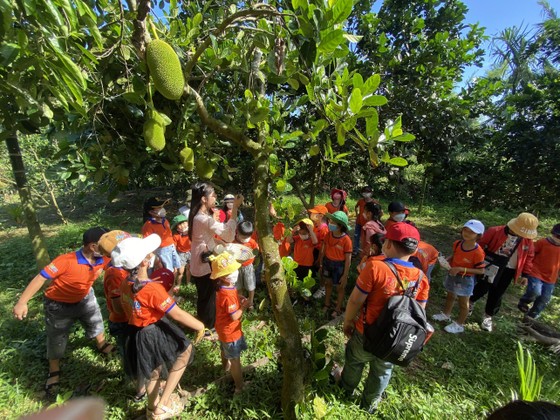 Khám phá vườn trái cây Nam bộ tại làng du lịch Bình Thành, Quảng Ngãi ảnh 3