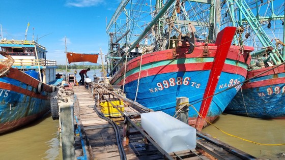 Quảng Ngãi: Ngư dân vươn khơi trở lại sau bão số 4 ảnh 3