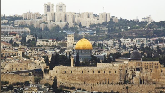 Các nước Arab kêu gọi Mỹ từ bỏ quyết định về Jerusalem ảnh 3