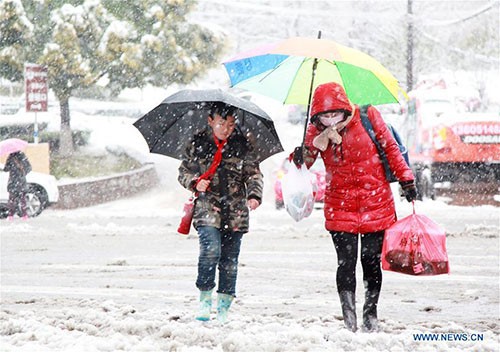 Tuyết rơi dày làm tăng giá rau quả ở Trung Quốc ảnh 1