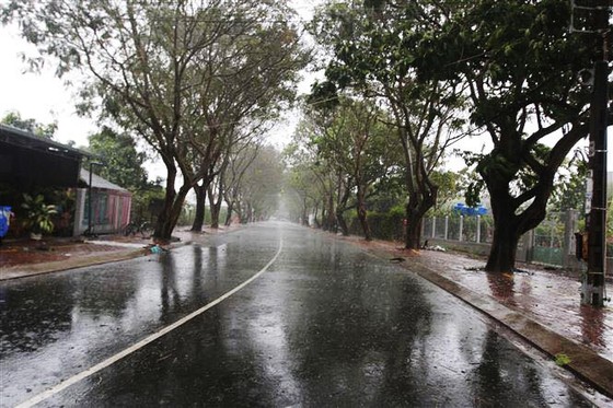 Cần Giờ mưa to, gió giật mạnh, phà Bình Khánh phải hoạt động để cấp cứu bệnh nhân ảnh 3
