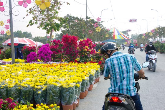 Chợ hoa xuân Bình Điền: Lan tỏa sắc xuân ảnh 3