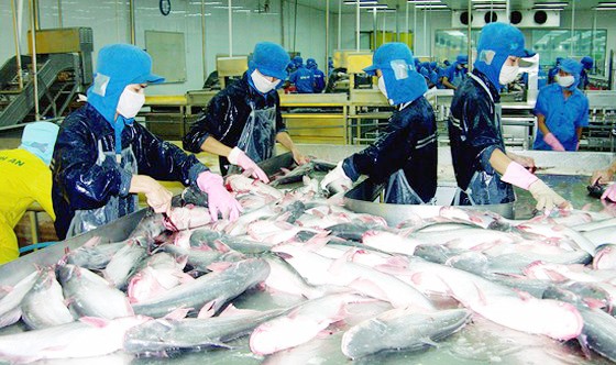 Tăng tốc ảnh 1