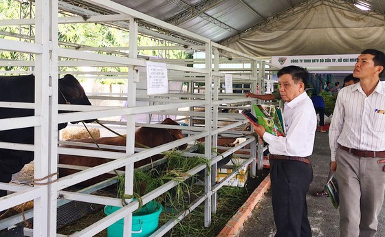 Hơn 350 gian hàng tại Hội chợ - Triển lãm 'Giống và nông nghiệp công nghệ cao' ảnh 2