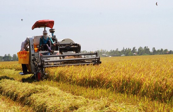Cơ giới hóa nông nghiệp, nâng cao giá trị sản phẩm ảnh 1