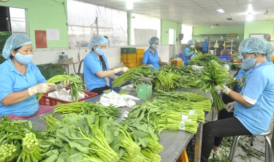 Nâng cao giá trị cho nông sản Việt Nam ảnh 1