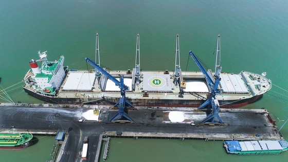 PVFCCo xuất khẩu nhiều đơn hàng phân bón với khối lượng lớn nhất từ trước tới nay ảnh 1