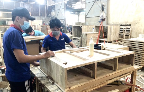 Nâng cao giá trị cây cao su ảnh 7