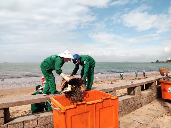 Thu gom hàng chục tấn rác thải dạt vào bờ biển Vũng Tàu ảnh 4