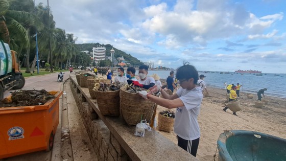 Cán bộ, viên chức cùng nhau dọn rác dạt vào bãi biển Vũng Tàu ảnh 7