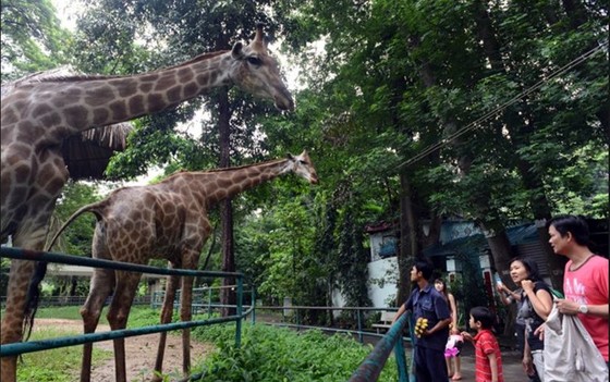西貢動物園 —— 市民假日好去處 ảnh 2