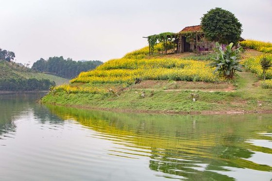 山谷湖花島上的春色 ảnh 1