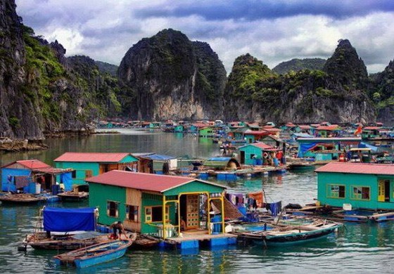 探索越南最古老漁村 ảnh 1